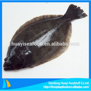 good quality fresh frozen flounder for sale